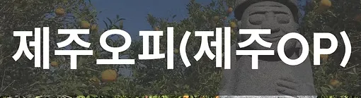 제주오피 1